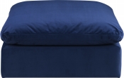 189Navy-Ott alternate view 2