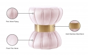 145Pink Infographic