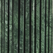248Green-ET alternate view 7