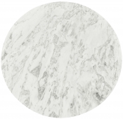 248White-CT alternate view 3