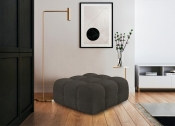 611Brown-Ott alternate view 1