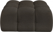 611Brown-Ott alternate view 2