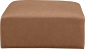 668Brown-Ott alternate view 2