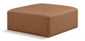 668Brown-Ott