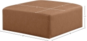 668Brown-Ott Dim