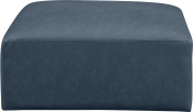 668Navy-Ott alternate view 2