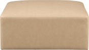 668Tan-Ott alternate view 2