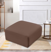 101Brown-Ott alternate view 1