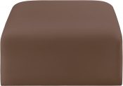 101Brown-Ott alternate view 2