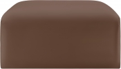 101Brown-Ott alternate view 3