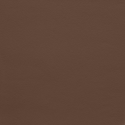 101Brown-Ott alternate view 4
