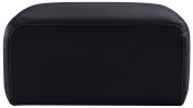 103Black-Ott alternate view 2