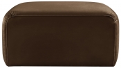 103Brown-Ott alternate view 2