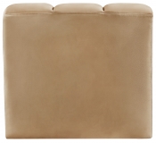 103Camel-CC alternate view 3