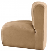 103Camel-CC alternate view 6