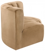 103Camel-S2B alternate view 6
