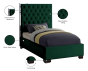 LexiGreen-T Infographic