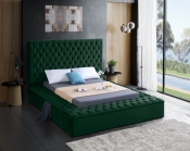 BlissGreen-Q alternate view 2