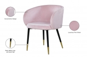 733Pink-C Infographic