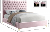 CruzPink-F Dim