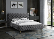 DelanoGrey-Q alternate view 1