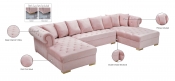 698Pink-Sectional Infographic