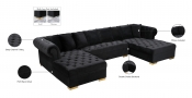 698Black-Sectional Infographic