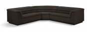 193Brown-Sectional