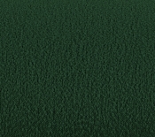 140Green-L alternate view 14