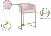 700Pink-C Infographic