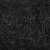 PaxtonBlack-T alternate view 6