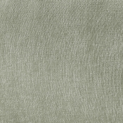 PaxtonMint-T alternate view 6