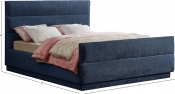 PaxtonNavy-F Dim