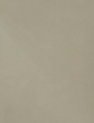 GalloBeige-T alternate view 7