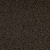 ShilohBrown-K alternate view 7