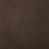 B1298Brown-T alternate view 6