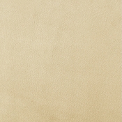 B1298Camel-F alternate view 6
