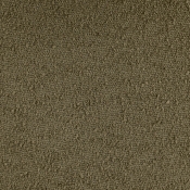 880Olive-C alternate view 6