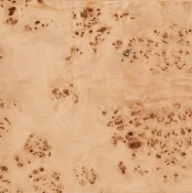 77018Burl alternate view 9
