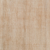 99015Oak-CT alternate view 7