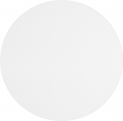 279White-CT alternate view 3
