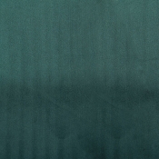 443Green alternate view 5