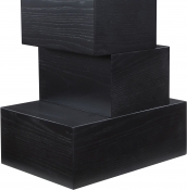 499Black-ET alternate view 4