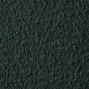 KellyGreen-T alternate view 5