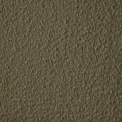 113Olive-C alternate view 16