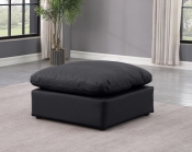 146Black-Ott alternate view 1
