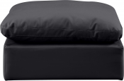146Black-Ott alternate view 2