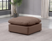 146Brown-Ott alternate view 1