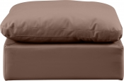 146Brown-Ott alternate view 2