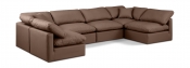 146Brown-Sec6D